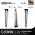color head roofing nail for asphalt shingles wholesale